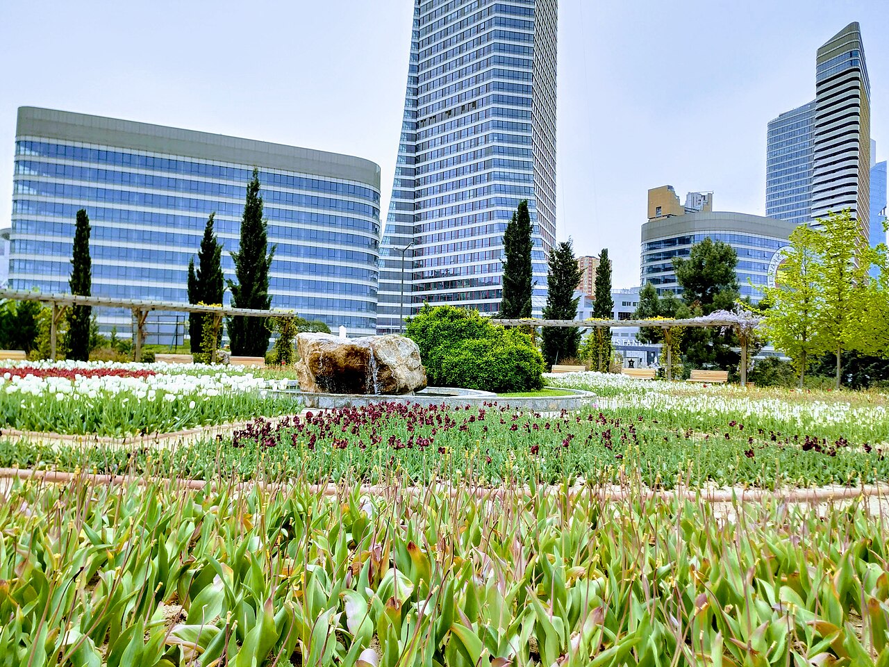 Nezahat Gökyiğit Botanic Garden: opening hours, access and tulips