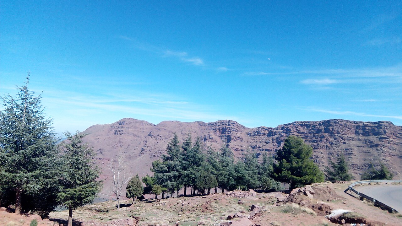 Pins et montagnes rouges du Haut Atlas sur la route d'Oukaïmeden, sous un ciel bleu