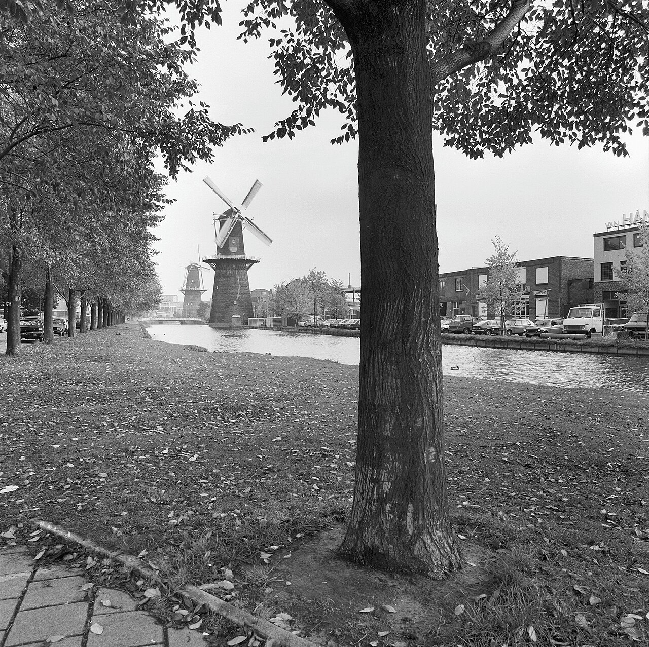 De Noordvest in Schiedam met zijn molens