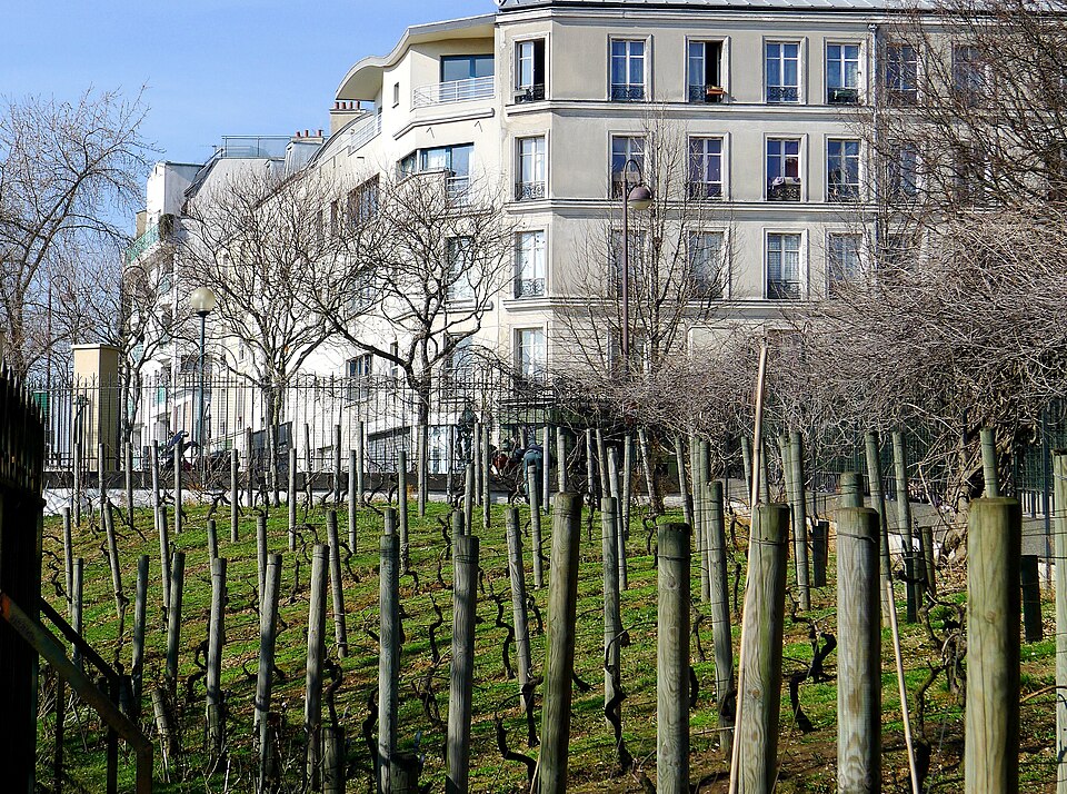 Parc de Belleville : belvédère Willy-Ronis et vue sur Paris