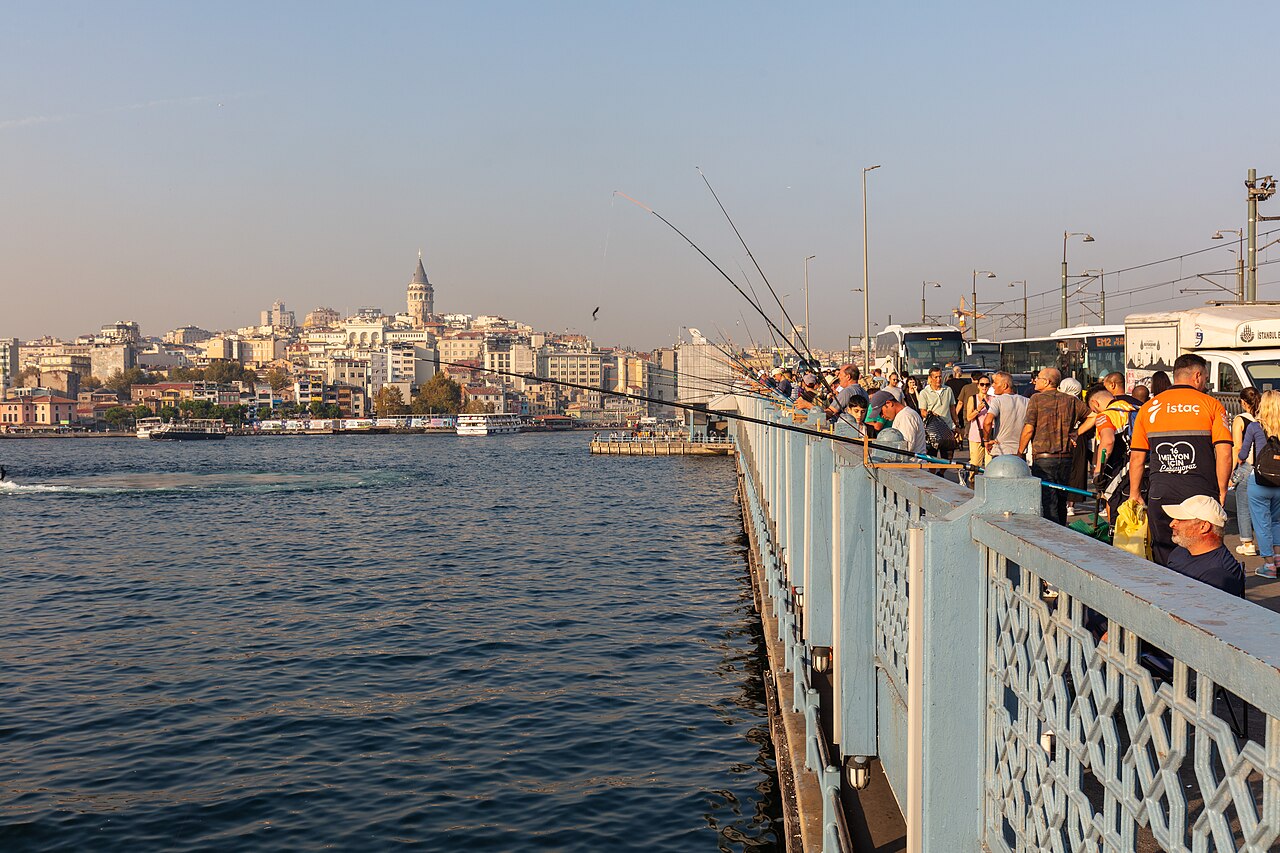 Pêcheurs alignés sur le pont de Galata, face à la tour de Galata