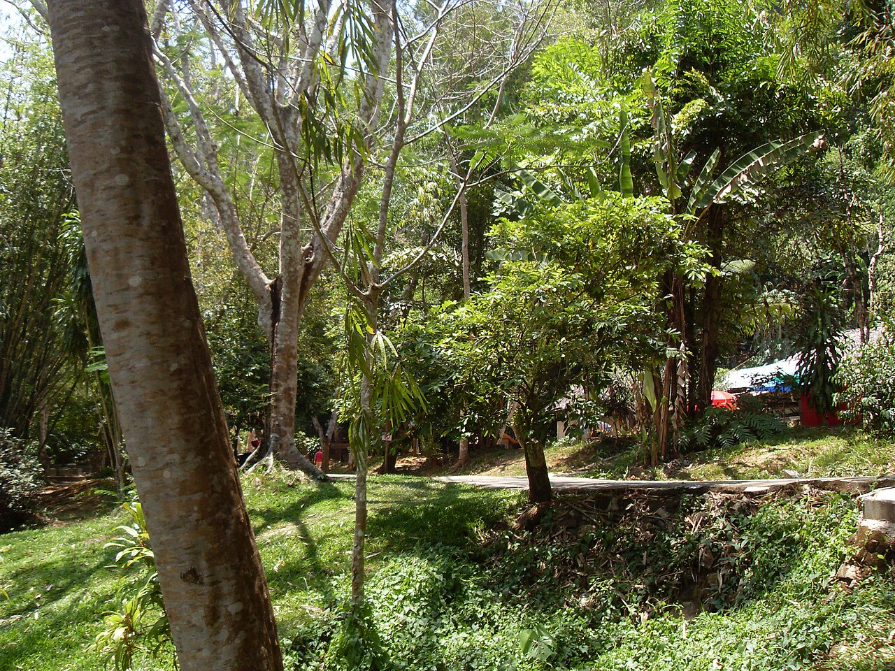 Bang Pae waterfall