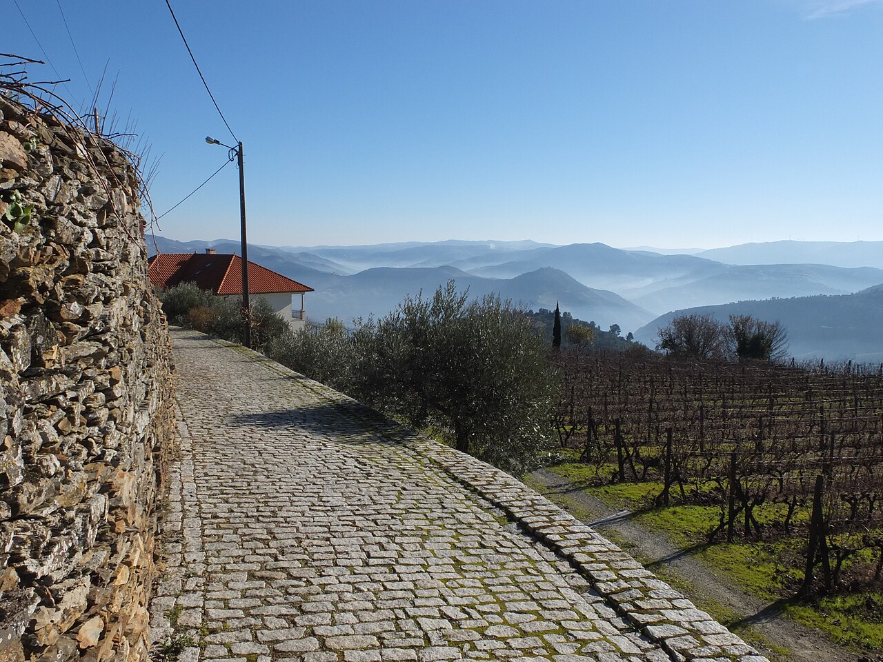 Pinhão et ses quintas