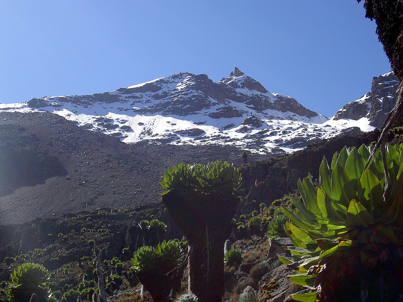Mount Kenya: Climbing, Routes and Alternatives Without Climbing