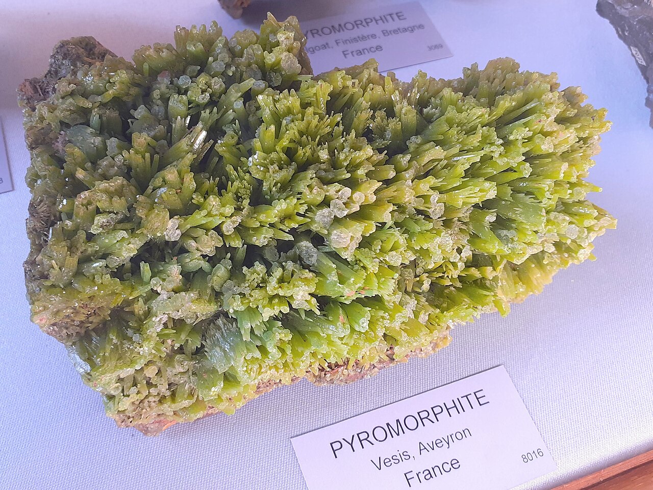 Minerale, Edelsteine und Meteoriten
