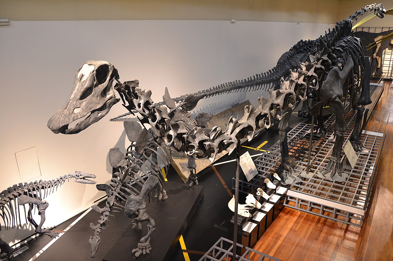 Musée national des sciences naturelles de Madrid