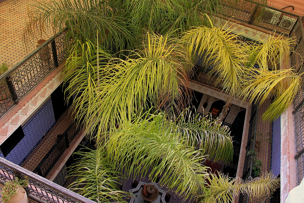 Planted courtyard of a medina riad seen from the galleries