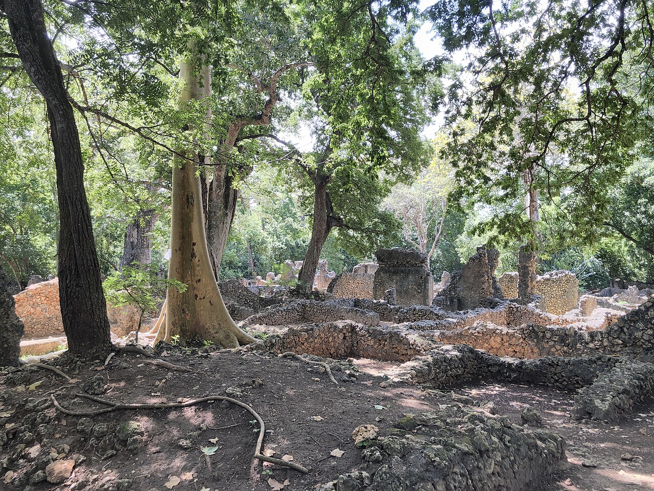 Ruinas de Gedi: la ciudad suajili en el bosque, horarios y precio
