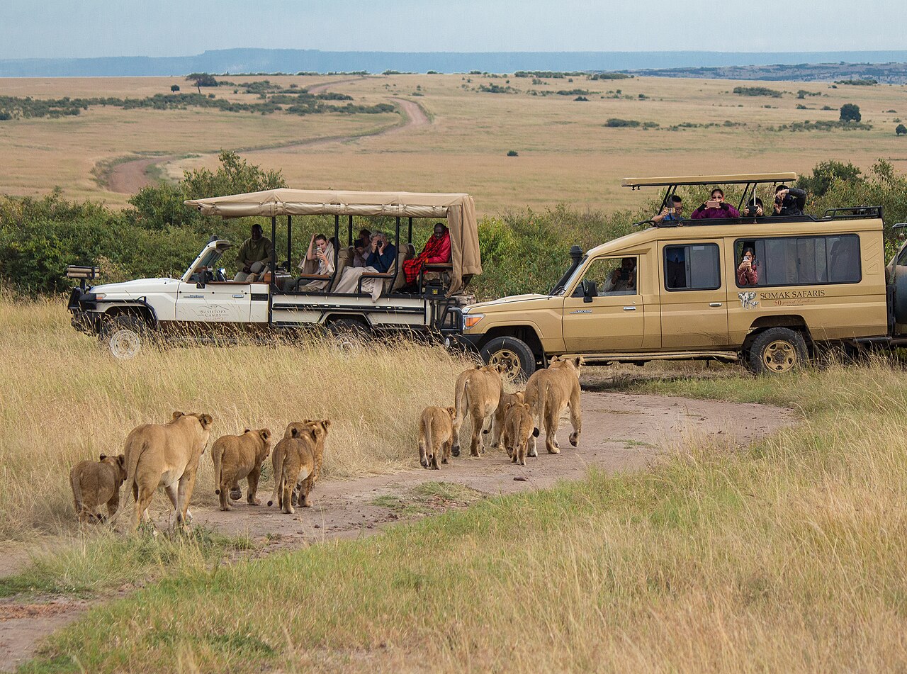 Où dormir au Kenya : lodges, camps de brousse et hôtels de plage