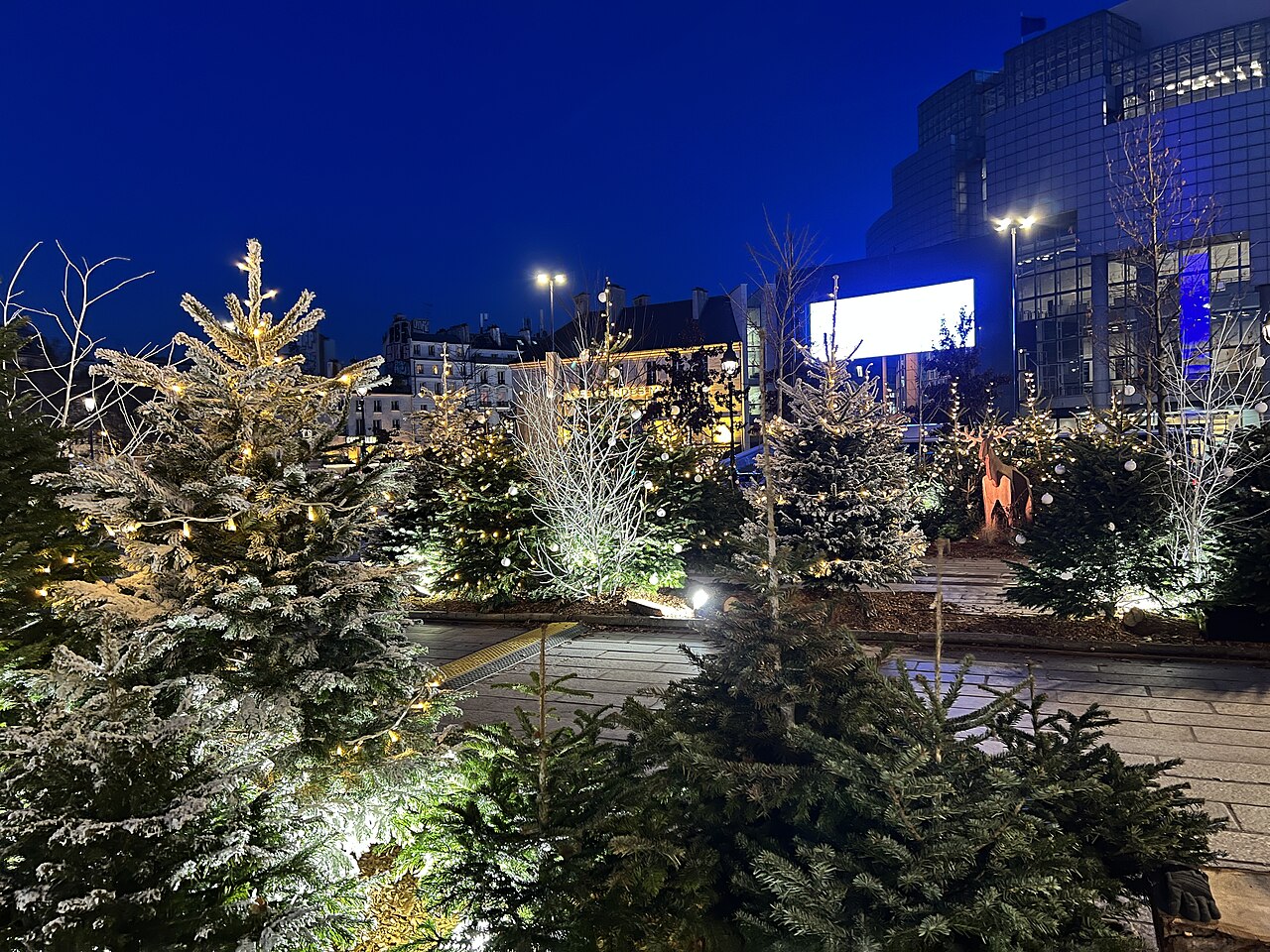 Sapins illuminés place de la Bastille, devant l'Opéra Bastille, en décembre 2021