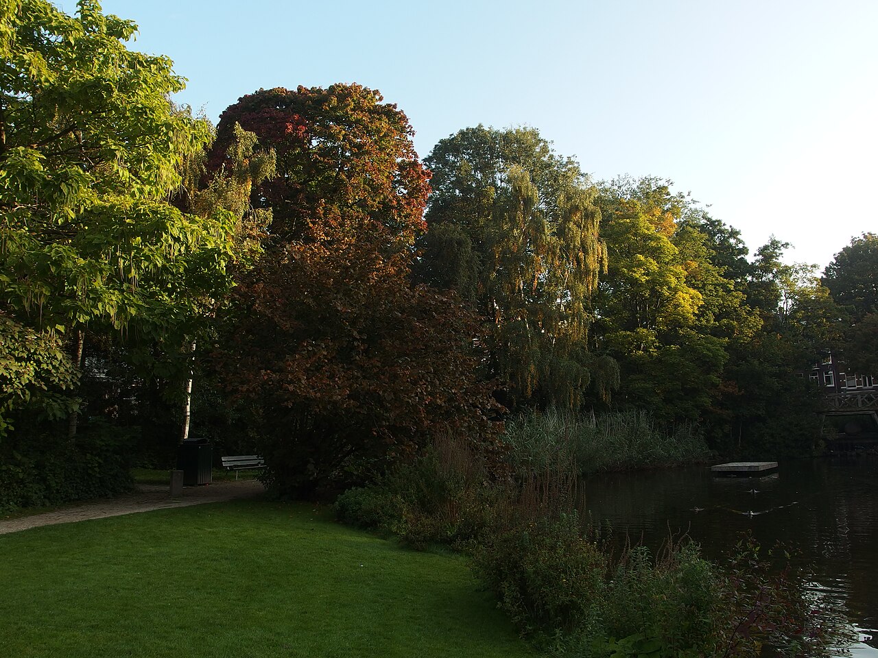 Le Sarphatipark, poumon vert de De Pijp