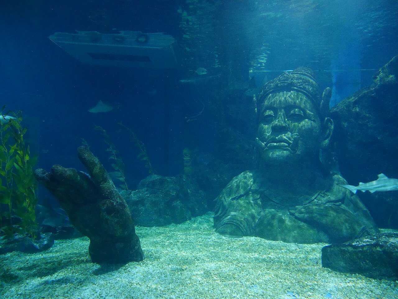 SEA LIFE Bangkok Ocean World: the Siam Paragon aquarium, tickets, hours and tips