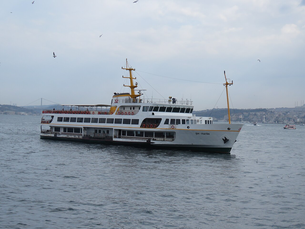 Croisière sur le Bosphore : ferry public ou bateau privé ?