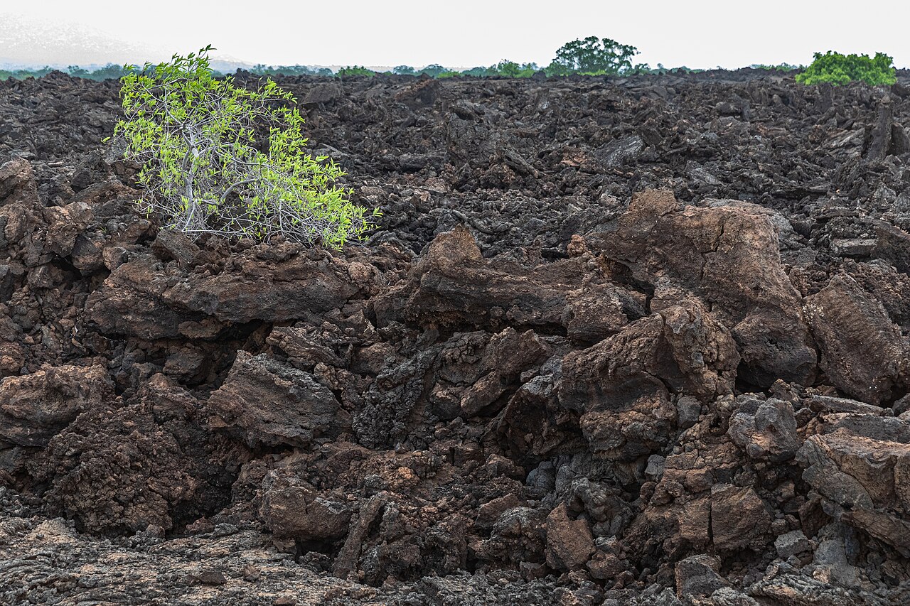 La coulée de lave de Shetani
