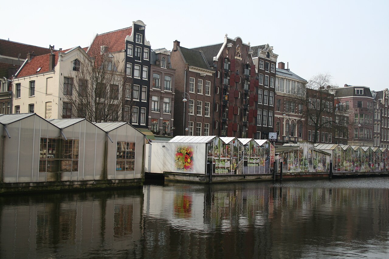 Marché aux fleurs (Bloemenmarkt) d'Amsterdam