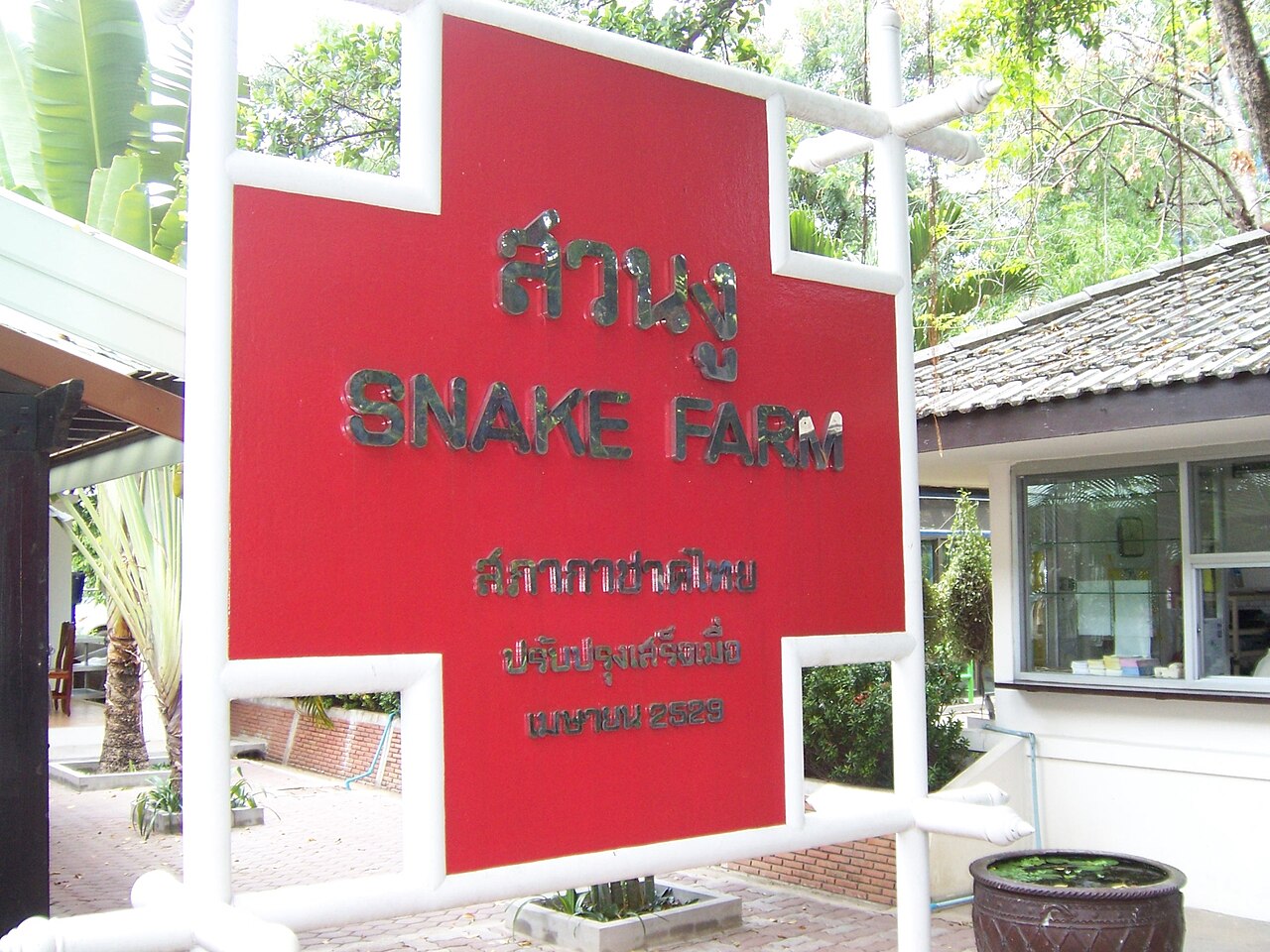 Bangkok Snake Farm: the venom show at the Thai Red Cross