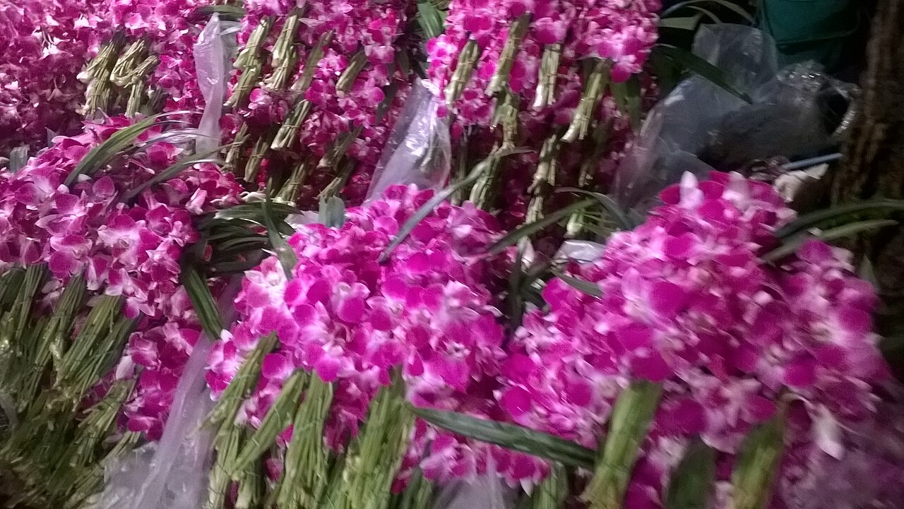 Pak Khlong Talat : le marché aux fleurs de Bangkok, la nuit