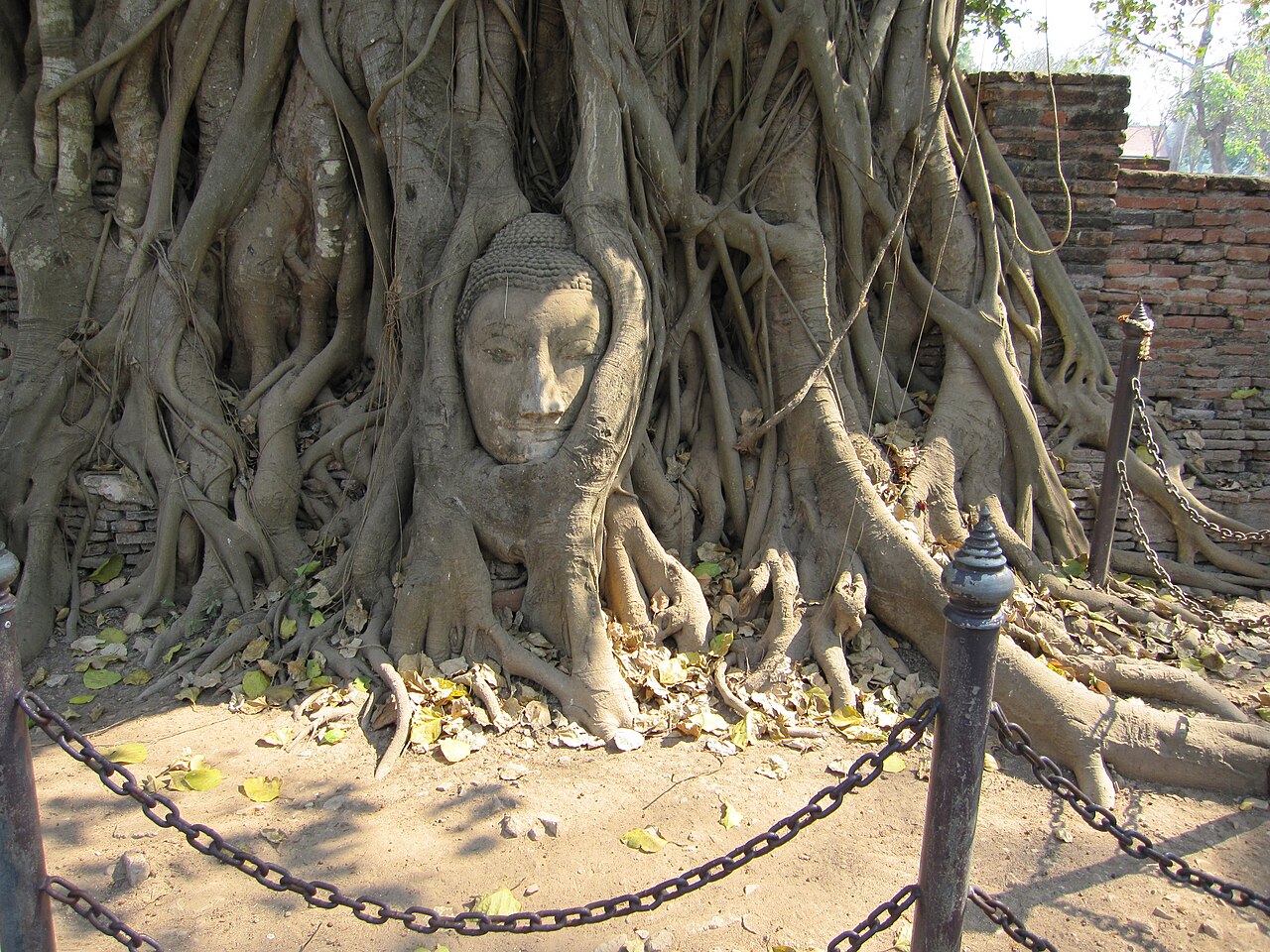 Ayutthaya depuis Bangkok : temples, train et location de vélo