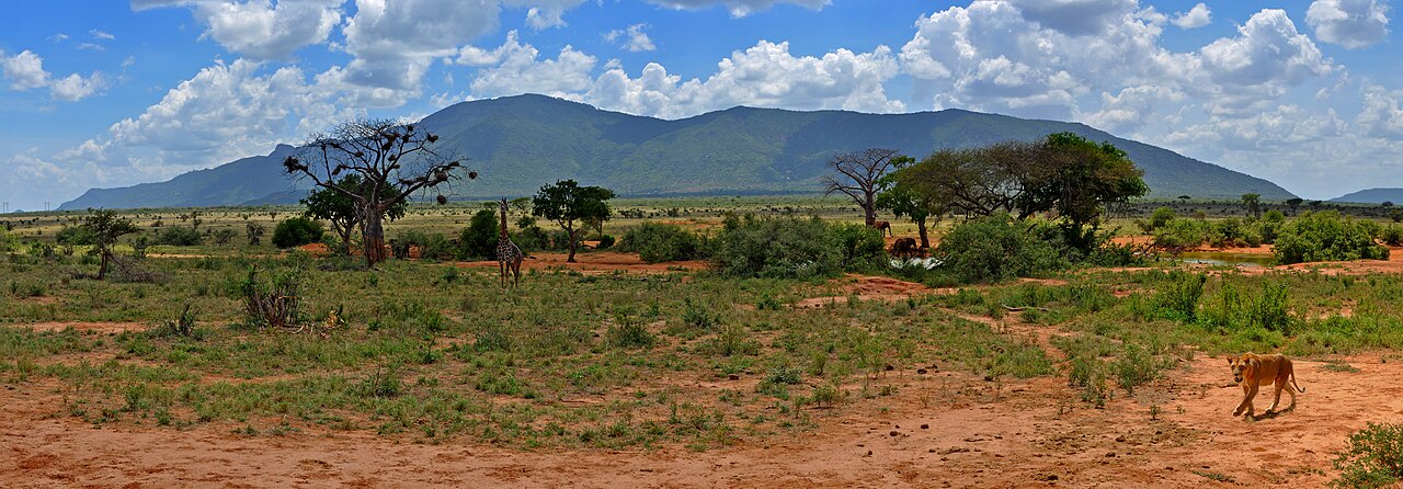 Parque nacional de Tsavo Este: elefantes rojos, Lugard Falls y tarifas