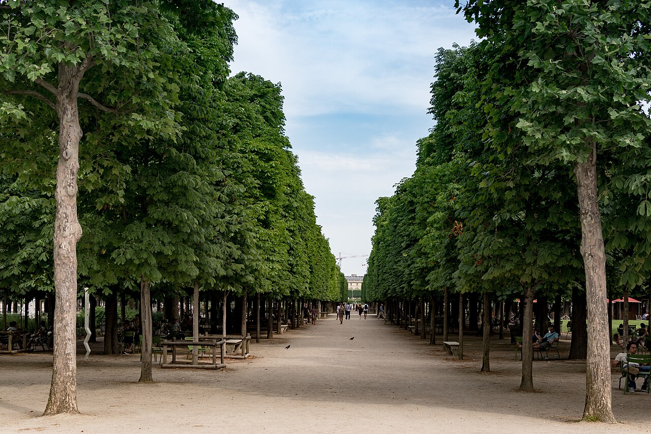 Jardin des Tuileries Paris : horaires, accès gratuit et à voir
