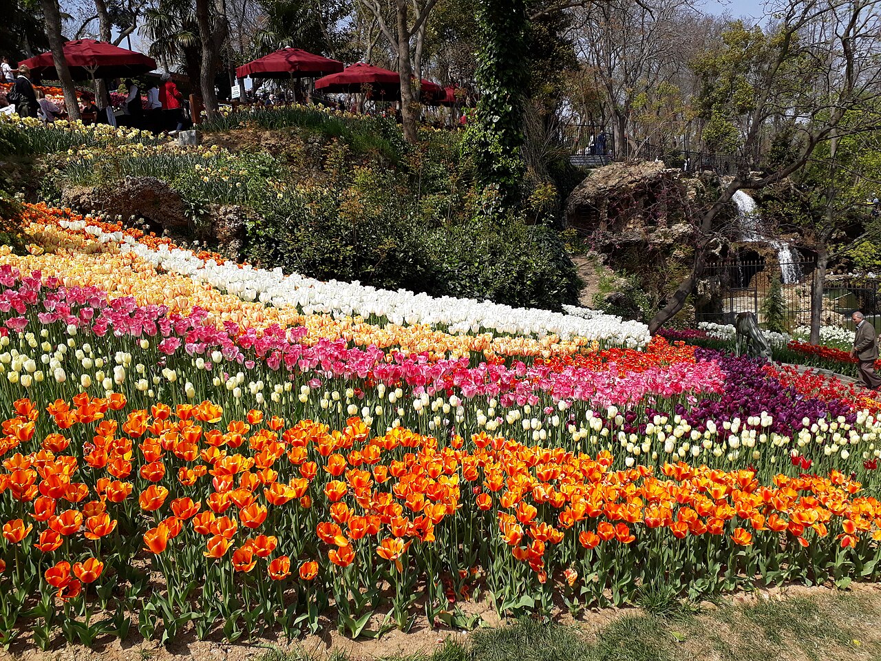 Festival des tulipes d'Istanbul : dates et meilleurs parcs