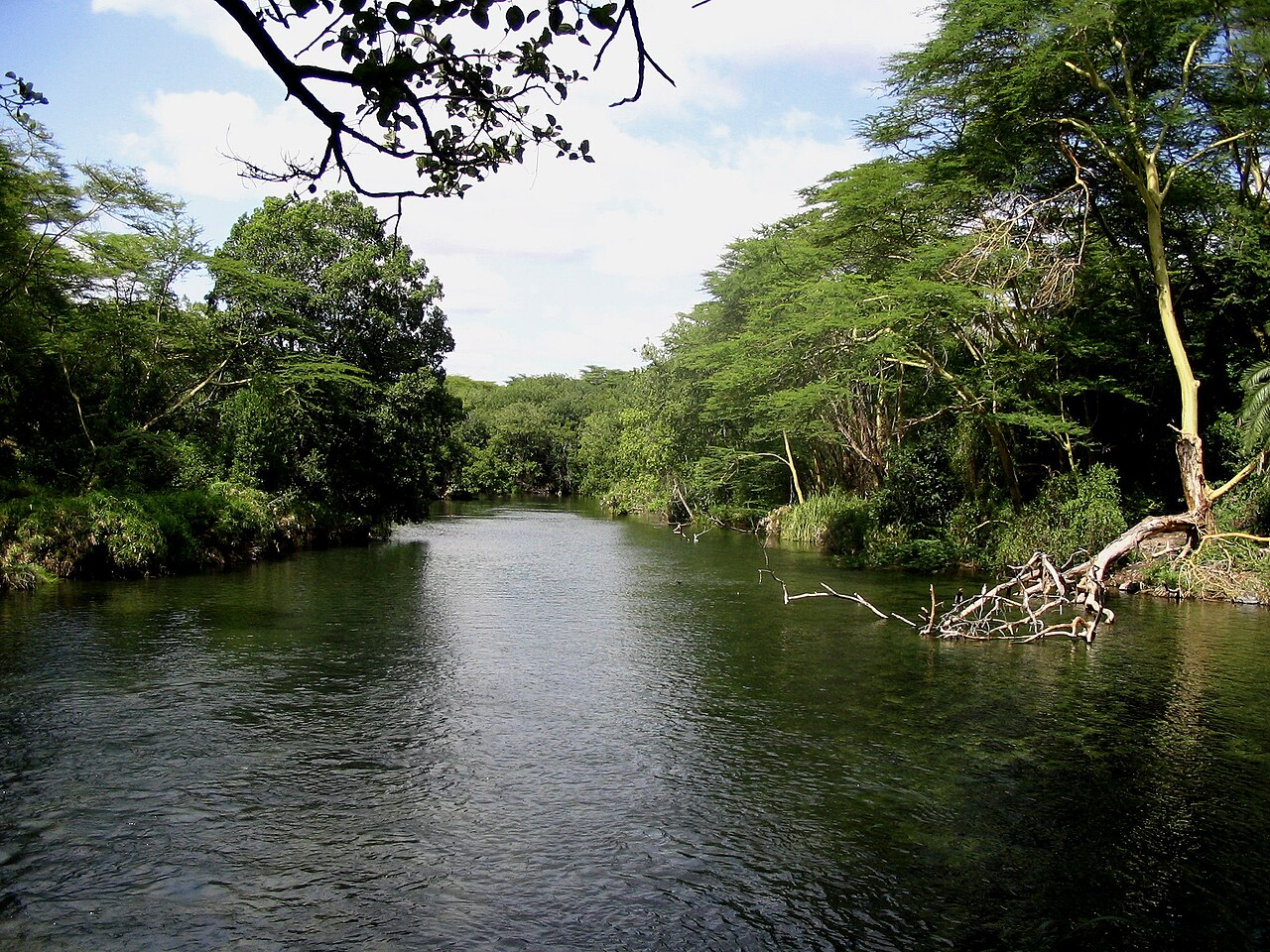 Der Tsavo-Fluss und die Landschaften im Westen