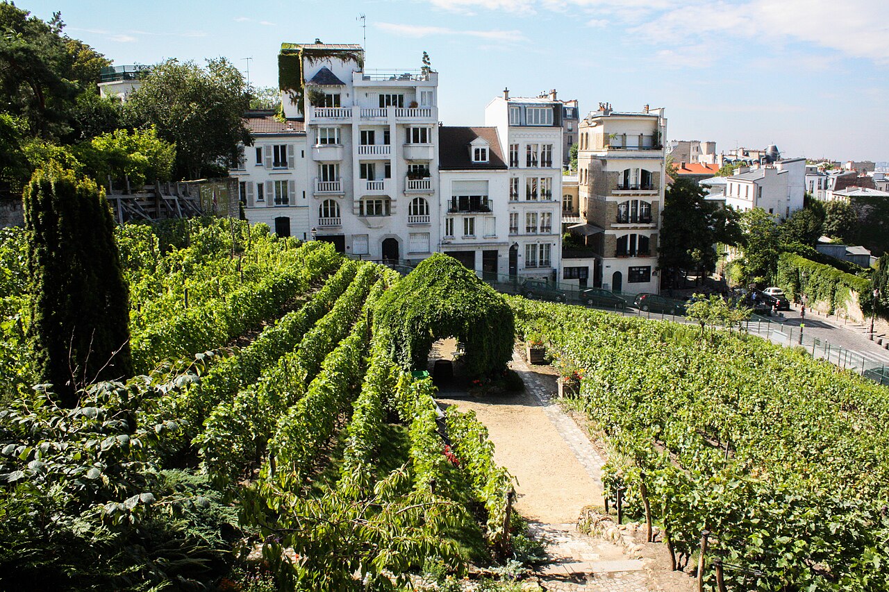 Things to do in Paris in September: weather, events and outings
