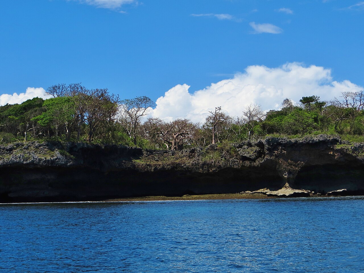 Excursion à l'île de Wasini depuis Diani : dauphins, dhow et déjeuner de fruits de mer
