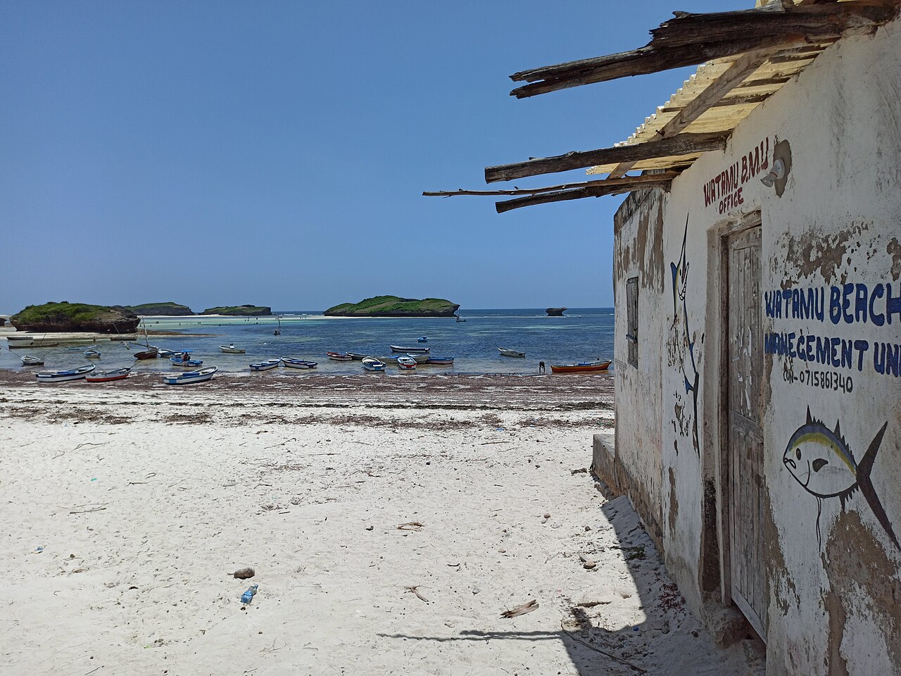 Watamu: Strände, Schildkröten und Schnorcheln an der Nordküste
