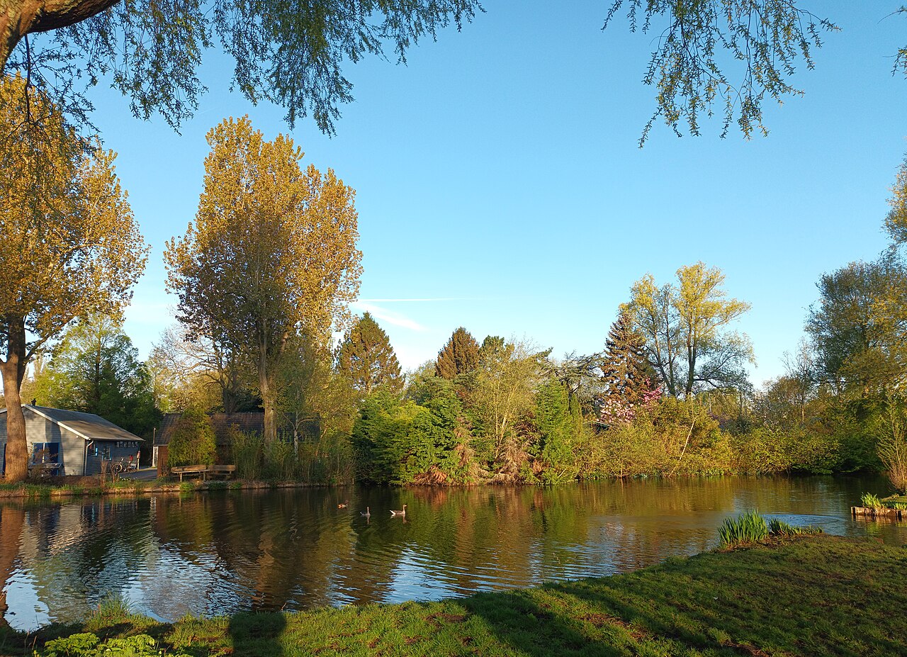 Westerpark en Spaarndammerbuurt in Amsterdam: de buurtgids